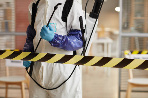 Professional Infectious Disease Decontamination technician working in Blue Jay, CA